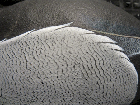 DecoArt Traditions Dimensional Effects Texturing Paste