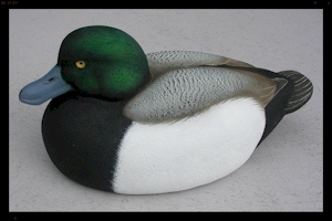 Willy McDonald - Bluebill Drake Gunning Decoy